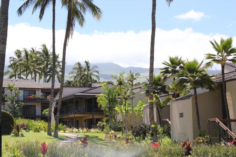 Hawaiian mountains in the background over the rooftops