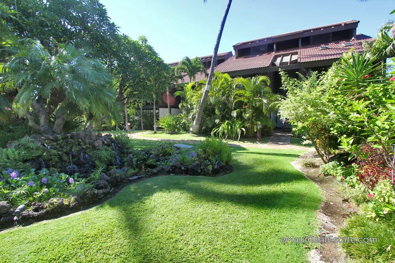 Kihei resort features several two story buildings surrounding a lush inner courtyard.