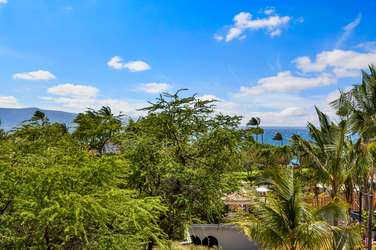 Lanai with views: 